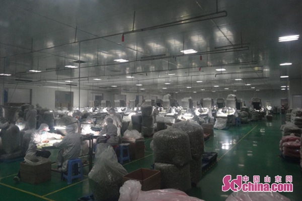 菏泽凯时官方网址脱水食品有限公司：科学防控疫情 有序复工复产